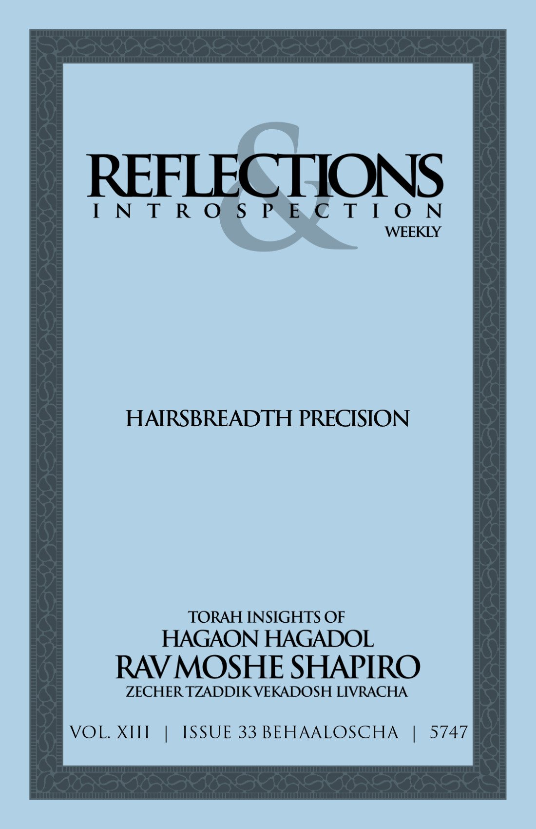 Cover of Hairsbreadth Precision