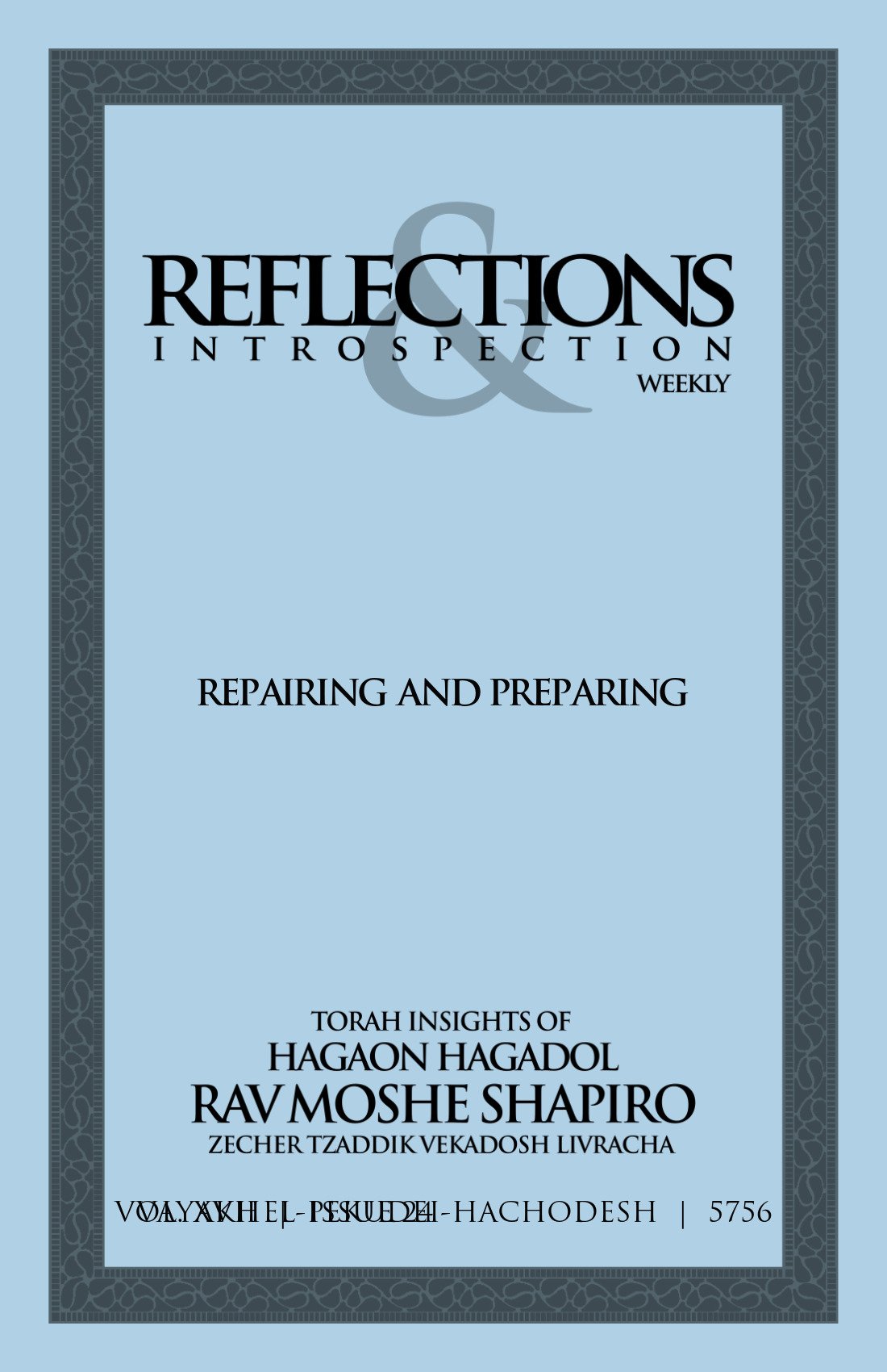 Cover of Repairing and Preparing
