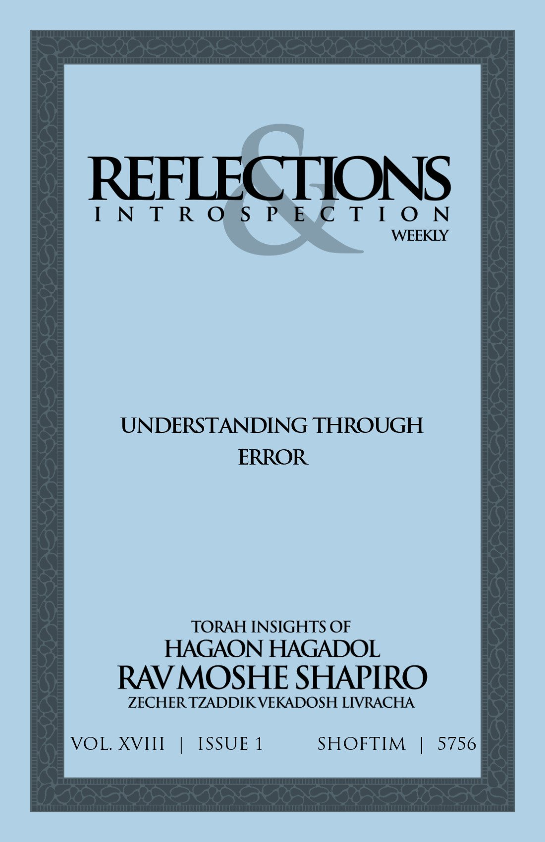 Cover of Understanding Through Error
