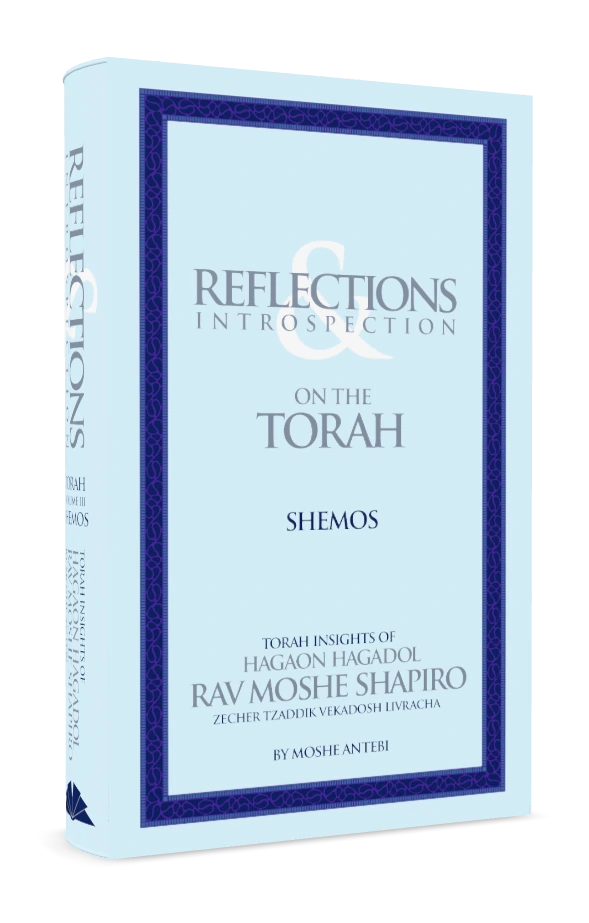 On the Torah III