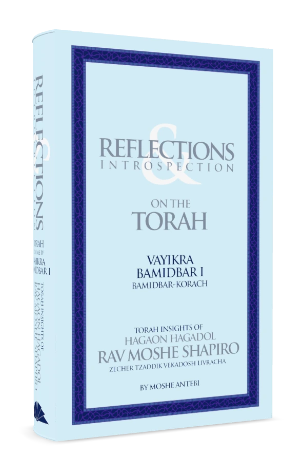 On the Torah IV